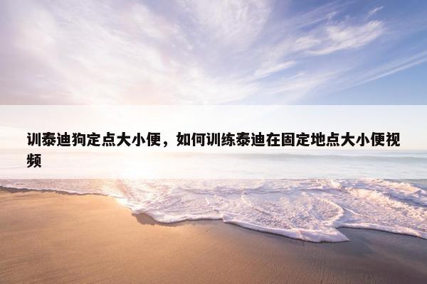 训泰迪狗定点大小便，如何训练泰迪在固定地点大小便视频