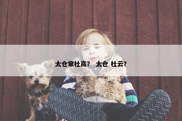 太仓窜杜高？ 太仓 杜云？