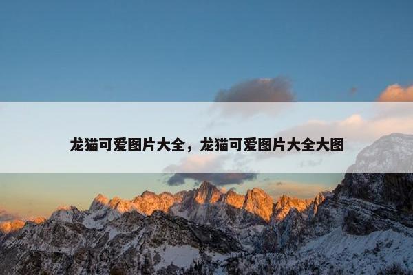 龙猫可爱图片大全，龙猫可爱图片大全大图
