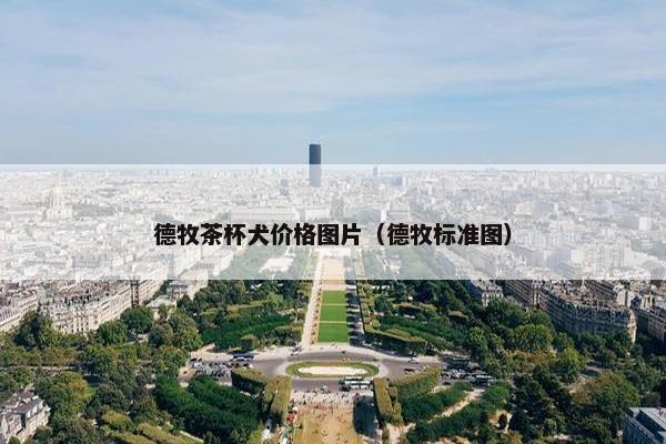 德牧茶杯犬价格图片（德牧标准图）
