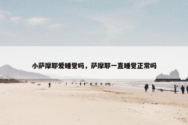 小萨摩耶爱睡觉吗，萨摩耶一直睡觉正常吗