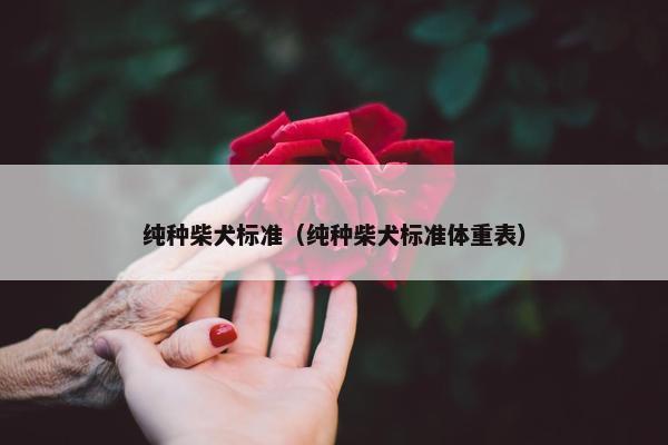 纯种柴犬标准（纯种柴犬标准体重表）