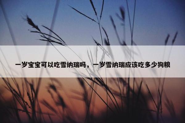 一岁宝宝可以吃雪纳瑞吗，一岁雪纳瑞应该吃多少狗粮