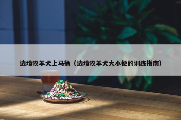边境牧羊犬上马桶（边境牧羊犬大小便的训练指南）