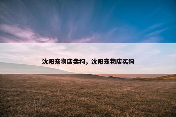 沈阳宠物店卖狗，沈阳宠物店买狗