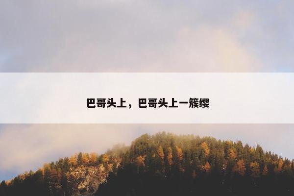 巴哥头上，巴哥头上一簇缨