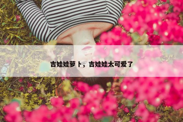 吉娃娃萝卜，吉娃娃太可爱了