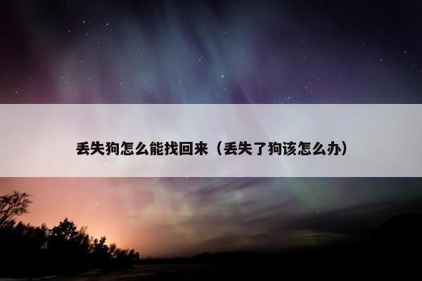 丢失狗怎么能找回来（丢失了狗该怎么办）