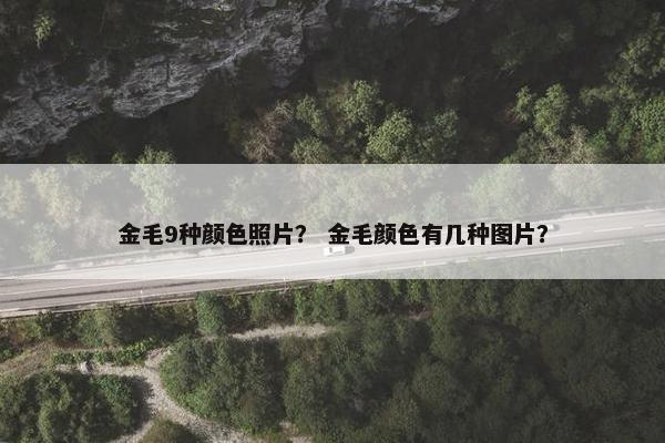 金毛9种颜色照片？ 金毛颜色有几种图片？