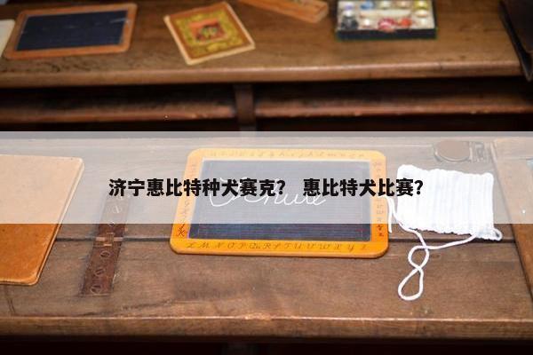 济宁惠比特种犬赛克？ 惠比特犬比赛？