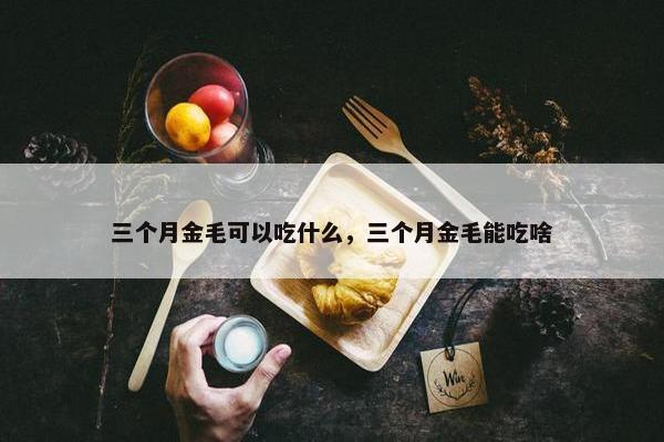 三个月金毛可以吃什么，三个月金毛能吃啥
