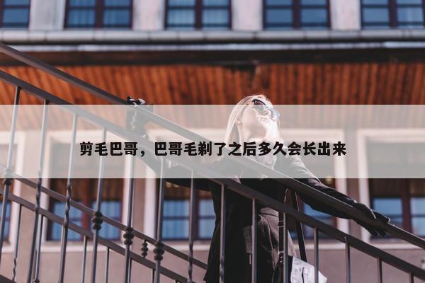 剪毛巴哥，巴哥毛剃了之后多久会长出来