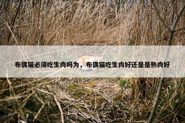 布偶猫必须吃生肉吗为，布偶猫吃生肉好还是是熟肉好