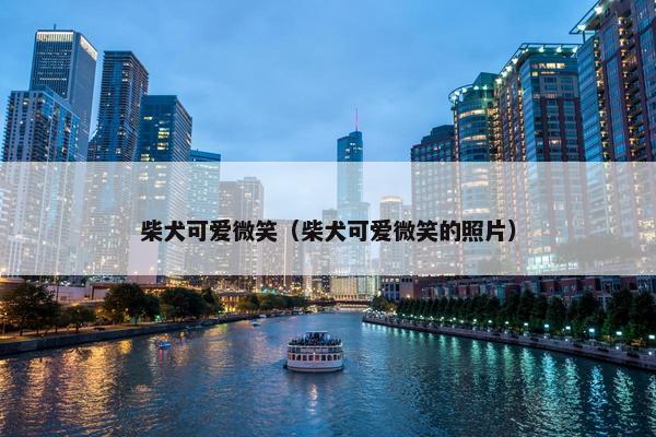 柴犬可爱微笑（柴犬可爱微笑的照片）