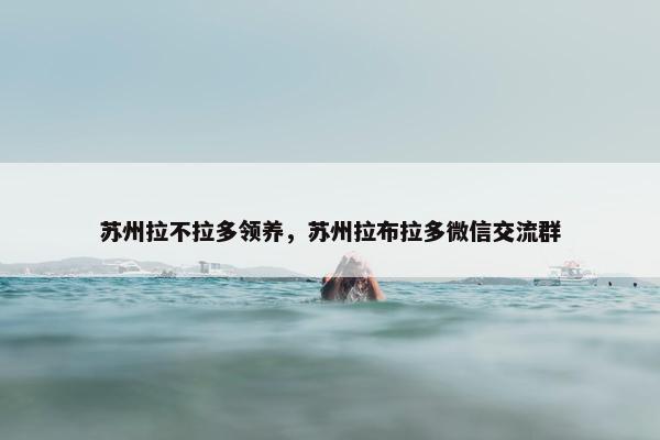 苏州拉不拉多领养，苏州拉布拉多微信交流群