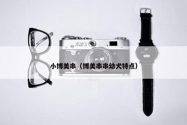 小博美串（博美串串幼犬特点）