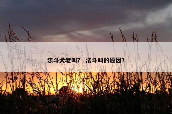 法斗犬老叫？ 法斗叫的原因？