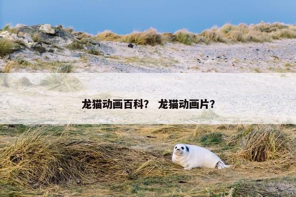 龙猫动画百科？ 龙猫动画片？