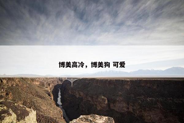 博美高冷，博美狗 可爱