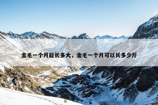 金毛一个月能长多大，金毛一个月可以长多少斤