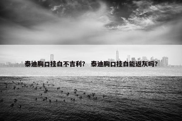 泰迪胸口挂白不吉利？ 泰迪胸口挂白能返灰吗？
