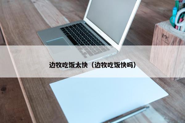 边牧吃饭太快（边牧吃饭快吗）