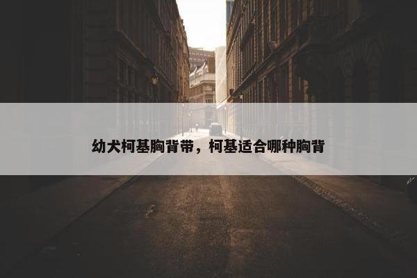 幼犬柯基胸背带，柯基适合哪种胸背
