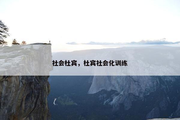社会杜宾，杜宾社会化训练