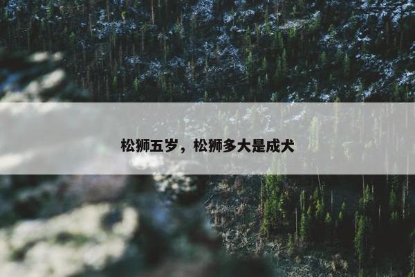 松狮五岁，松狮多大是成犬