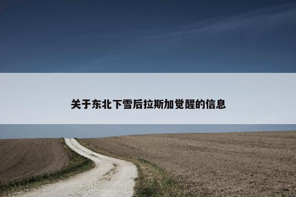 关于东北下雪后拉斯加觉醒的信息