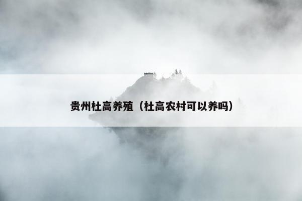 贵州杜高养殖（杜高农村可以养吗）