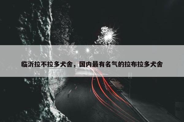 临沂拉不拉多犬舍，国内最有名气的拉布拉多犬舍
