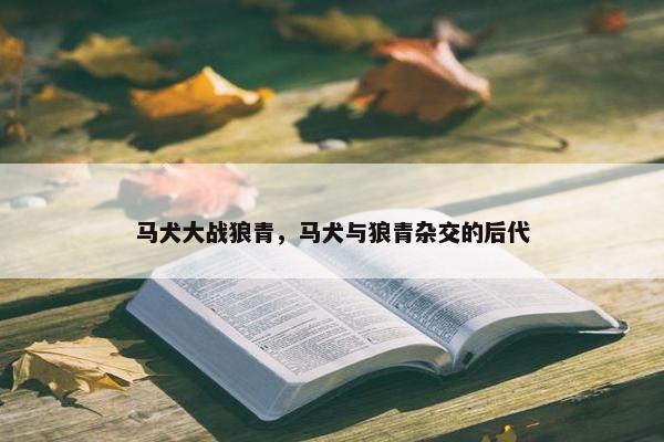 马犬大战狼青，马犬与狼青杂交的后代
