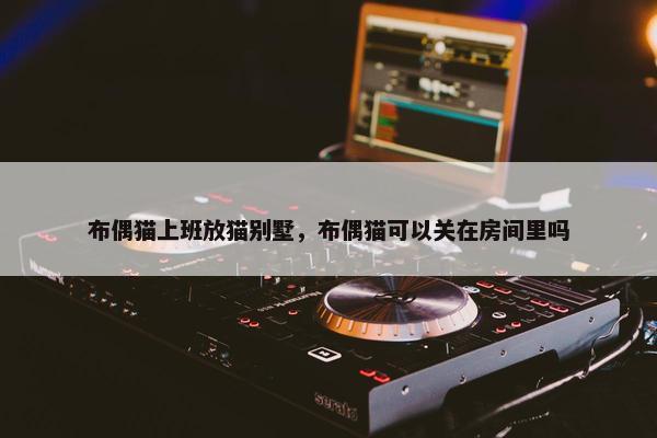 布偶猫上班放猫别墅，布偶猫可以关在房间里吗