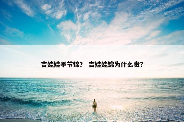 吉娃娃季节锦？ 吉娃娃锦为什么贵？