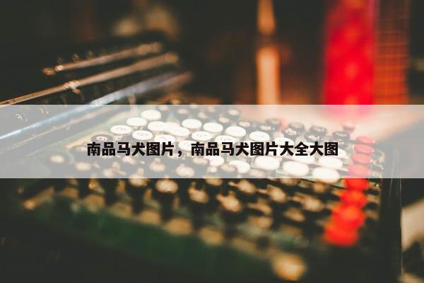 南品马犬图片，南品马犬图片大全大图