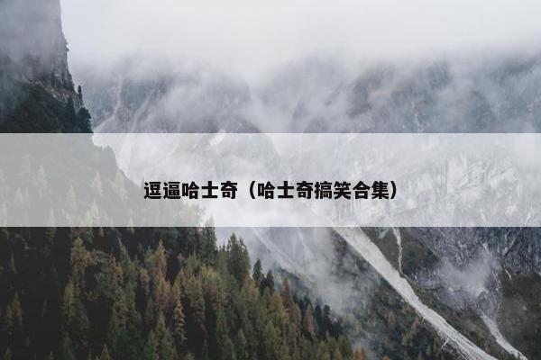 逗逼哈士奇（哈士奇搞笑合集）