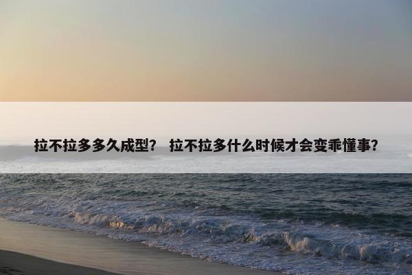 拉不拉多多久成型？ 拉不拉多什么时候才会变乖懂事？