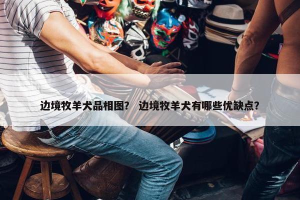 边境牧羊犬品相图？ 边境牧羊犬有哪些优缺点？
