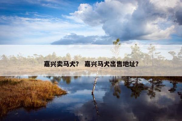 嘉兴卖马犬？ 嘉兴马犬出售地址？
