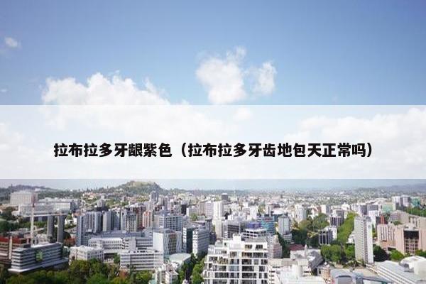 拉布拉多牙龈紫色（拉布拉多牙齿地包天正常吗）