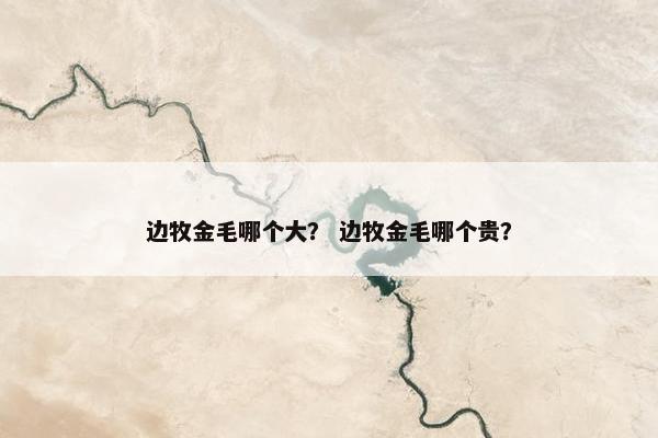 边牧金毛哪个大？ 边牧金毛哪个贵？