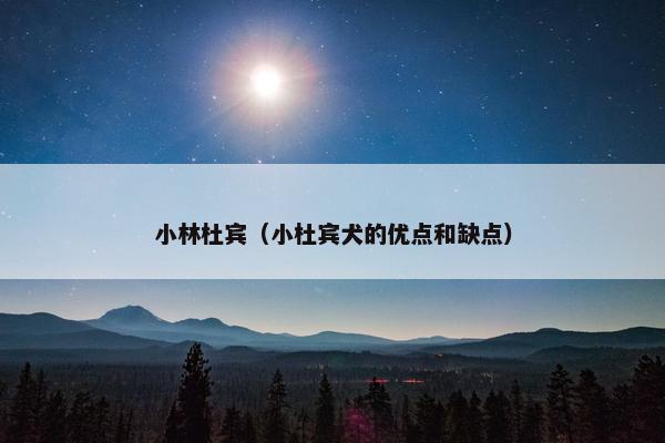 小林杜宾（小杜宾犬的优点和缺点）