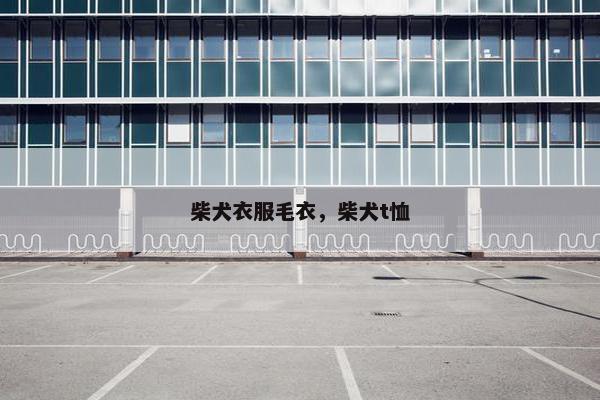 柴犬衣服毛衣，柴犬t恤