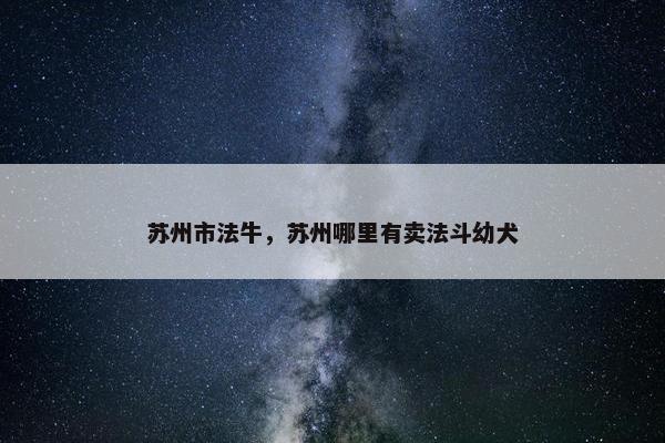 苏州市法牛，苏州哪里有卖法斗幼犬