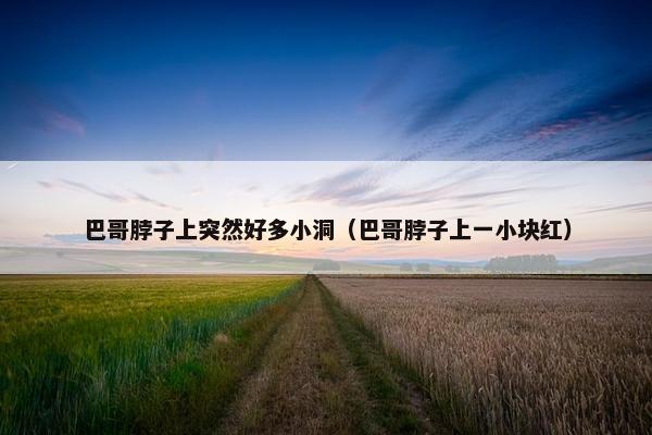 巴哥脖子上突然好多小洞（巴哥脖子上一小块红）
