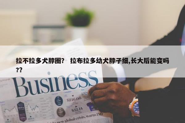拉不拉多犬脖圈？ 拉布拉多幼犬脖子细,长大后能变吗?？