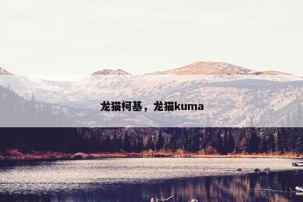 龙猫柯基，龙猫kuma