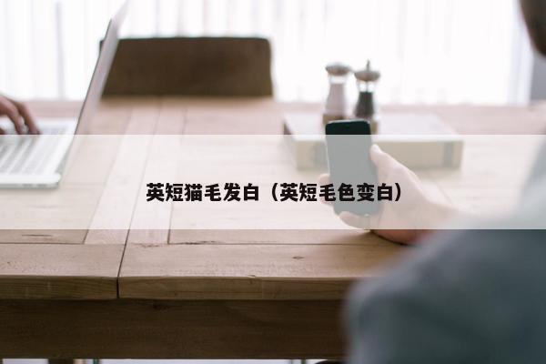 英短猫毛发白（英短毛色变白）