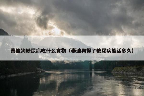 泰迪狗糖尿病吃什么食物（泰迪狗得了糖尿病能活多久）